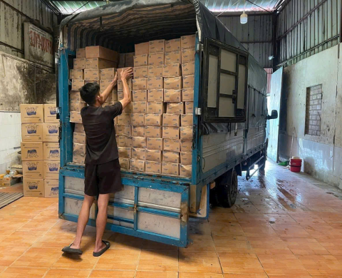 Vận Chuyển Hàng Hải Phòng Đi Long An - Vận Tải Hoàng Phương