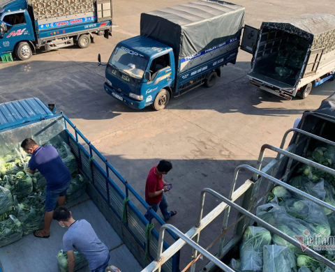 Vận Chuyển Hàng Bắc Ninh Đi Vũng Tàu - Vận Tải Hoàng Phương