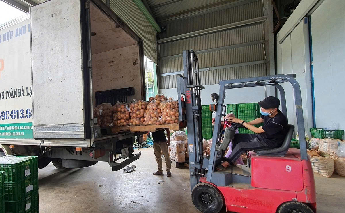 Vận Chuyển Hàng Hưng Yên Đi Long An